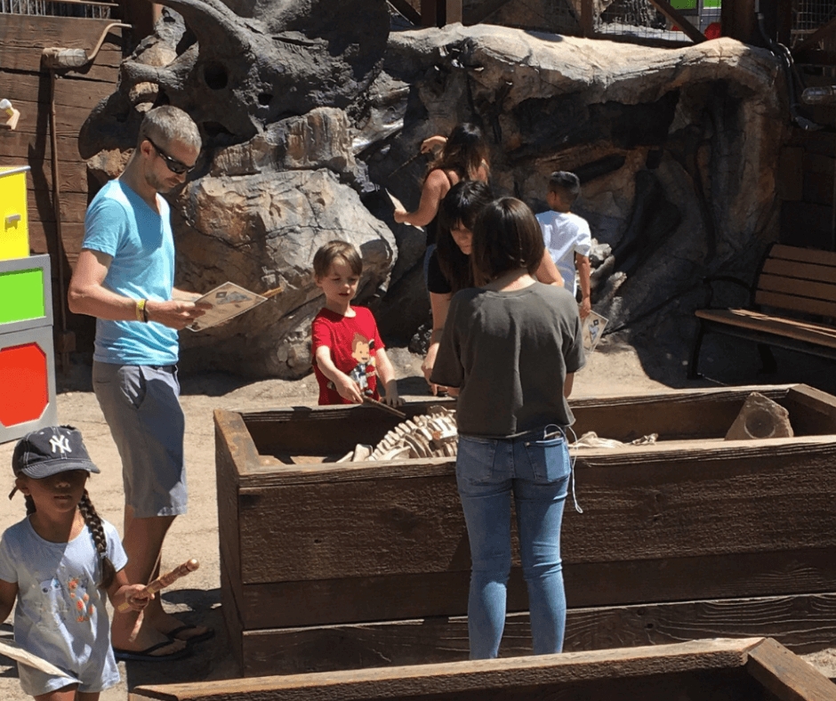 Hunting for dinosuar bones at the Discovery Centre