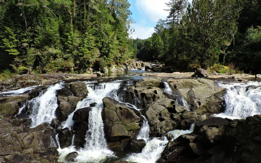 McLaren Falls Park A Treasure For Families