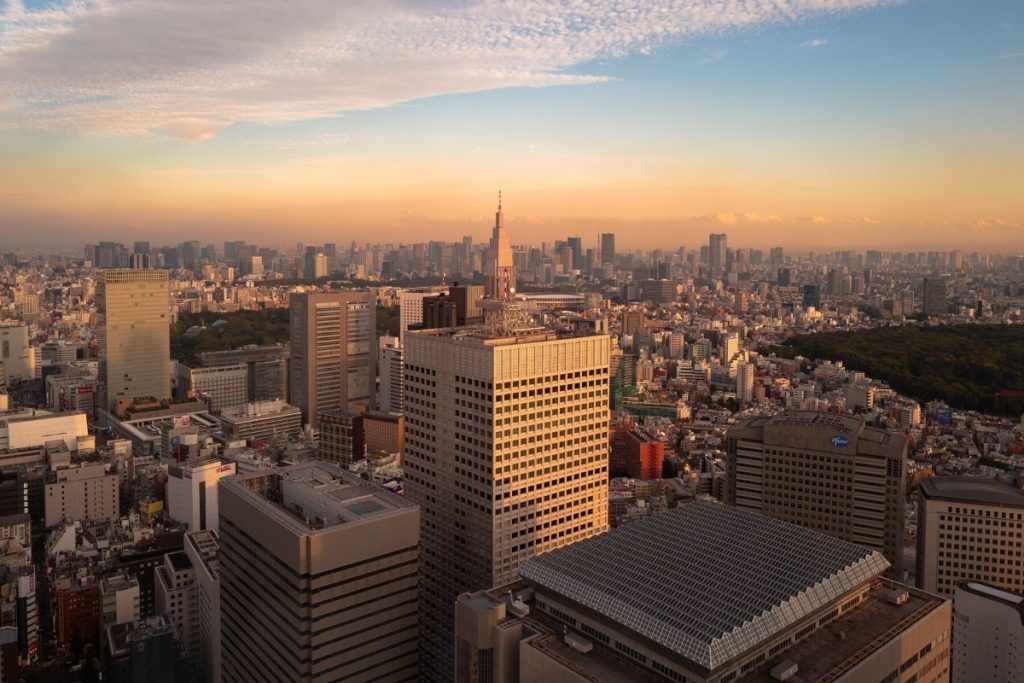 View of Tokyo from the Tokyo Metropolitan Government Building