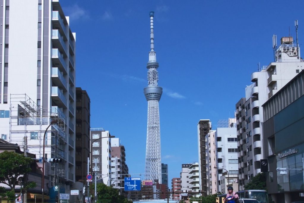 A must thing to do in Tokyo is the Tokyo tree