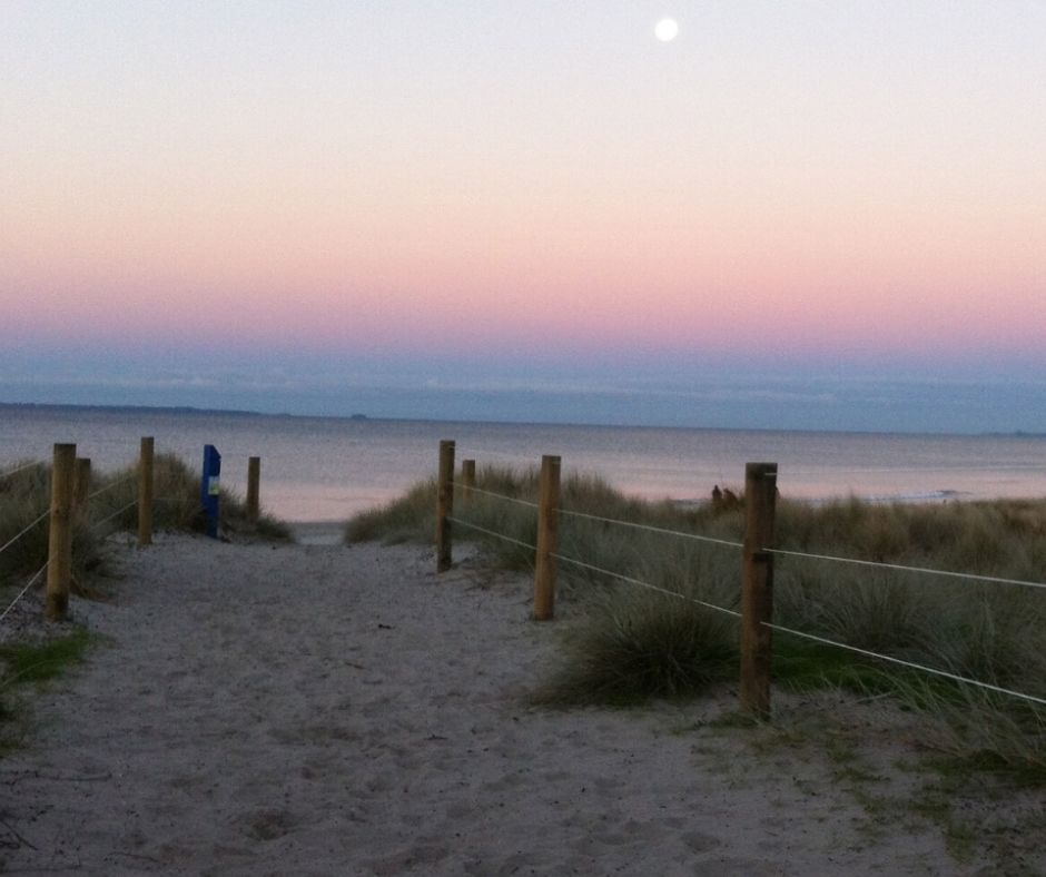 On our bike ride back, one of the many beach accesses along the way