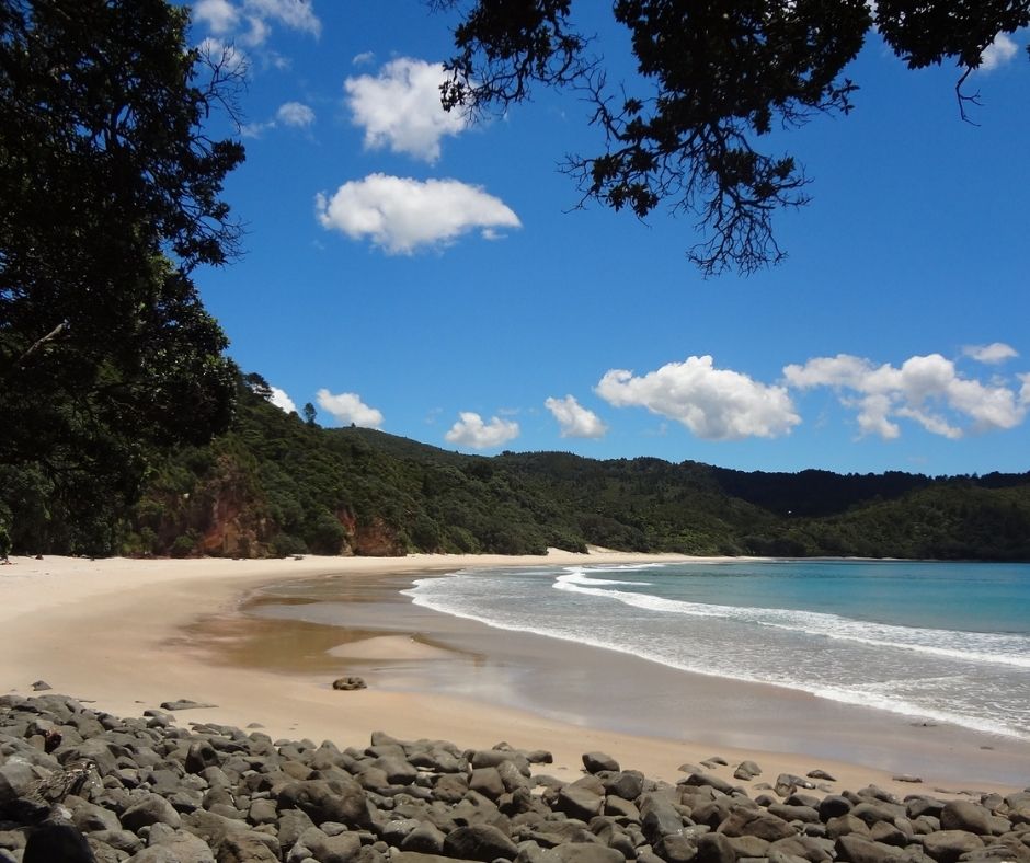 New Chums Beach voted one of the best beaches in the Coromandel, New Zealand and the World