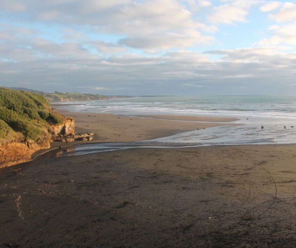 Looking down the coast on Back Beach, rough and rugged as the Tasman Sea rolls in