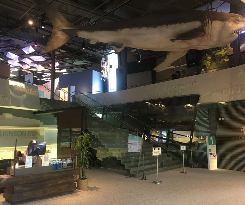 Inside Puke Ariki Museum with the shark hanging from the ceiling