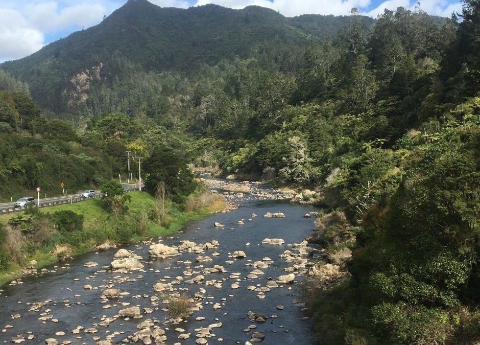 Karangahake Gorge Walks: A Guide for Families