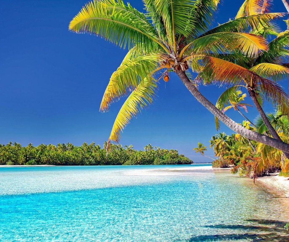 Aitutaki Lagoon, hanging palm trees and crystal clear waters