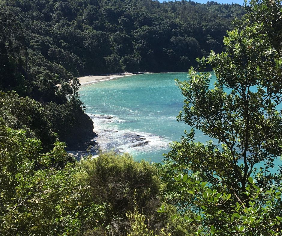 Views of Otarawairere Beach from the platform lookout makes it one of the best things to do at Ohope Beach