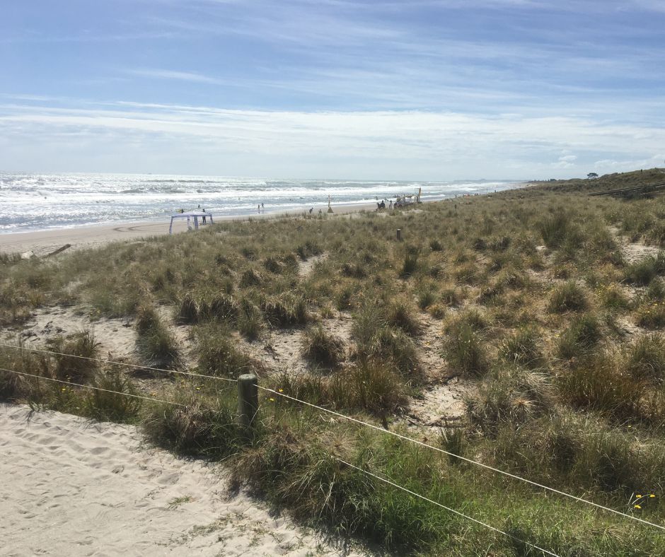 The view of the dunes and coast from The Sandback, coming it the best view for one of the best Papamoa cafes