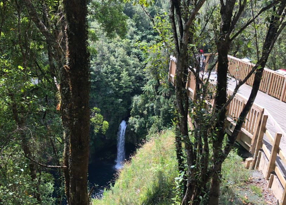 Ōmanawa Falls: A Stunning Day Out