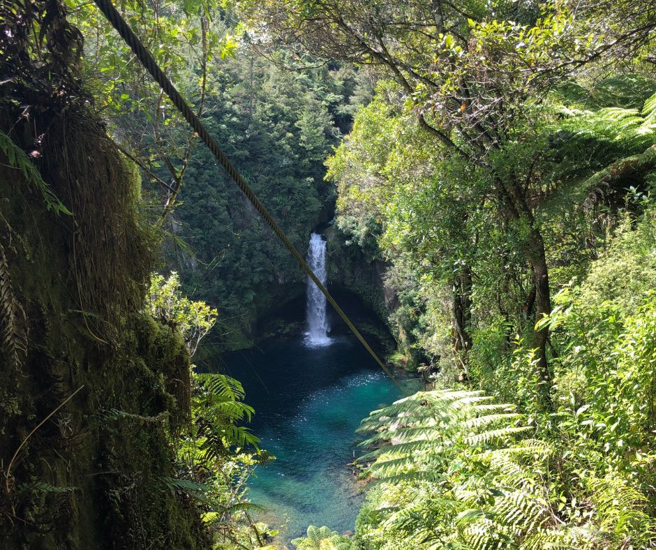 Omanawa Falls Waterfall from the Te Tae Ōmanawa Lookout. The water dropping into the the river below