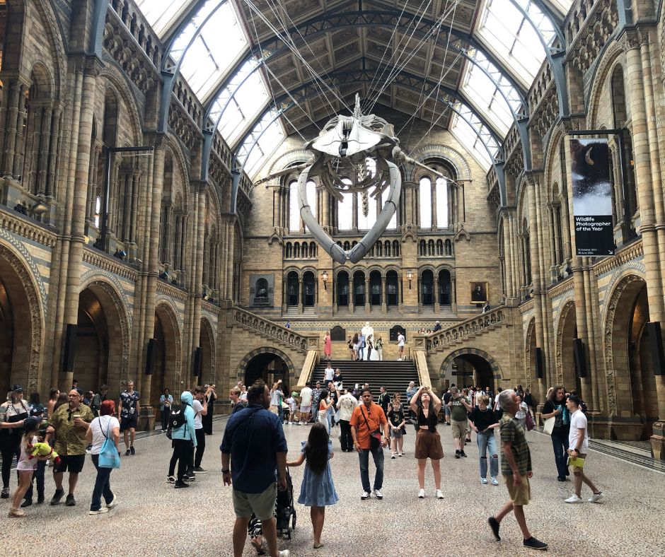 The magnificent Hintze Hall, with Hope, the blue whale, hanging from the ceiling.