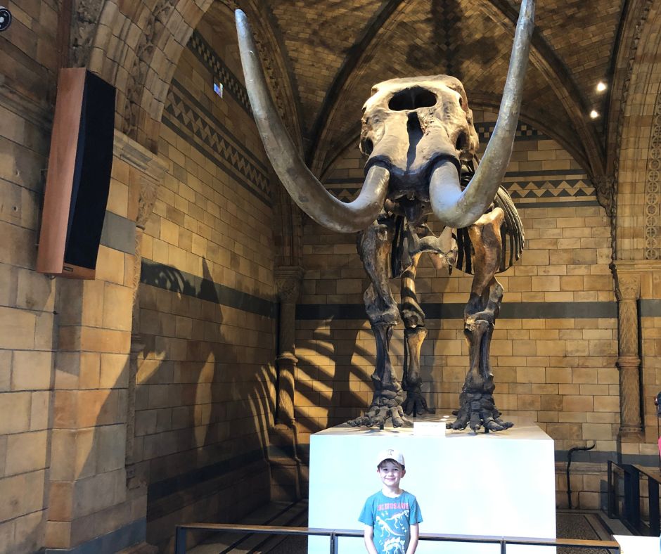 Sawyer posing with a full size skeleton Mammoth