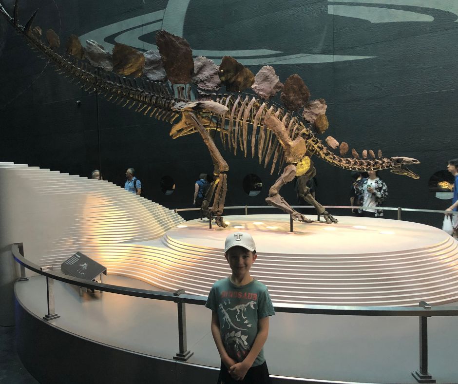 Sawyer posing with a stegosaurs skeleton