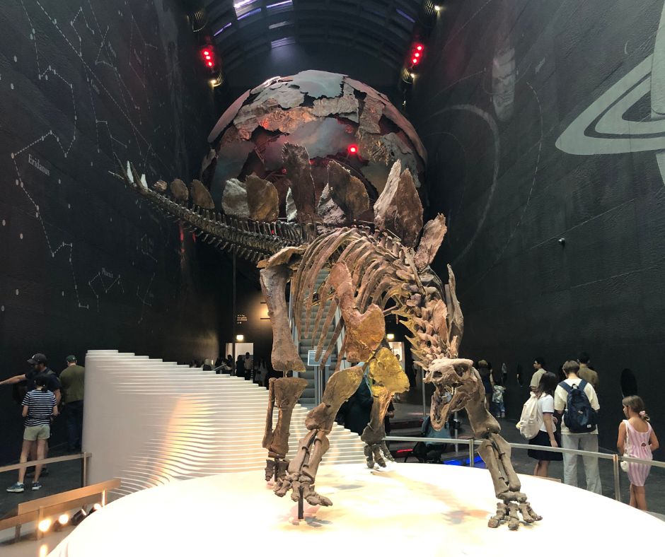 The entry into London’s Natural History Museum, the first skeleton dinosaur