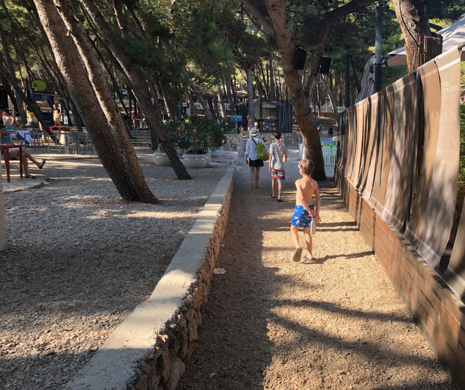 Walkway though pine covered tree. Here you will find cafes and eateries