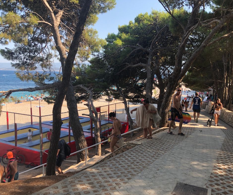 The walkway/promenade down to the beach through pine lined trees