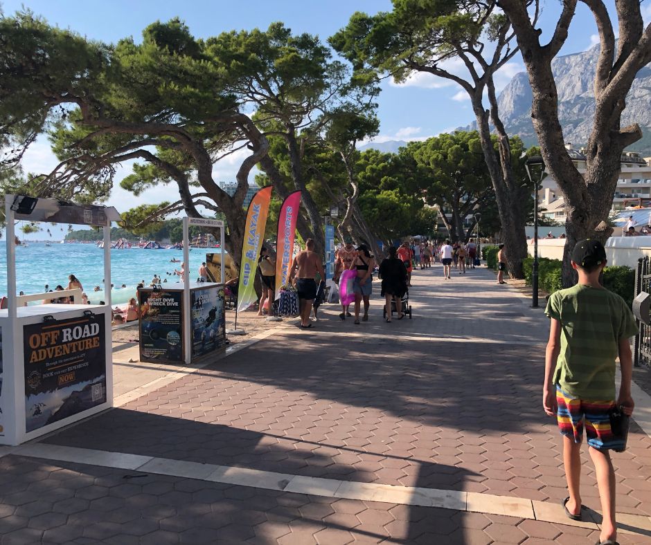 Walking the promenade with pie covered trees lining the walkway